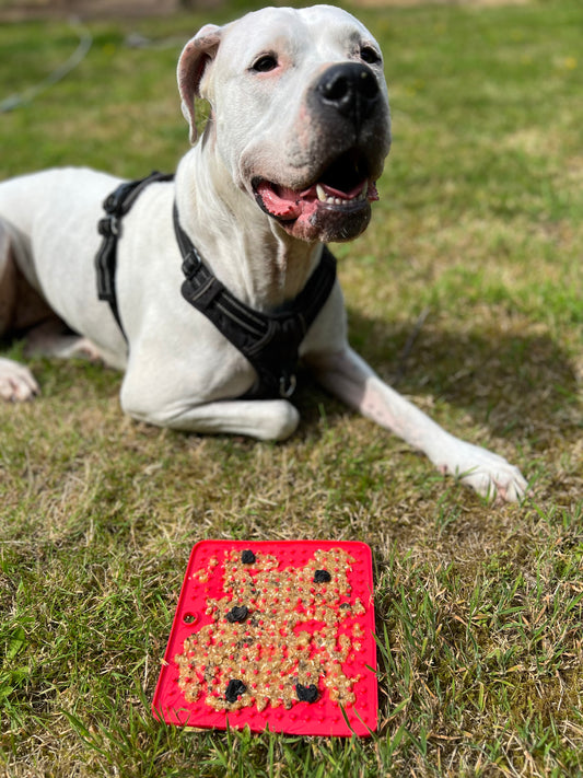Garniture pour Tapis de léchage ( Cheval, Volailles, Dinde, Kangourou, Boeuf )
