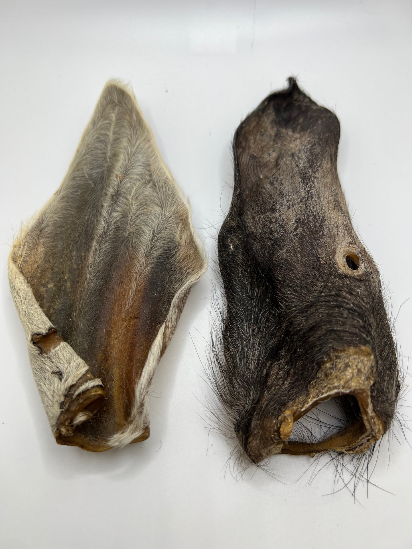 Oreille de Veau Poilu