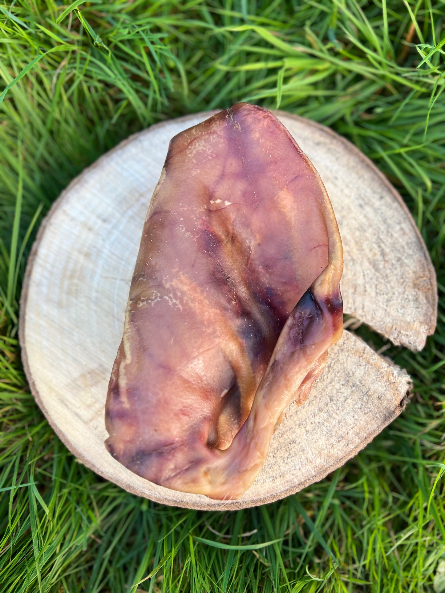 Oreille de Porc Française X2