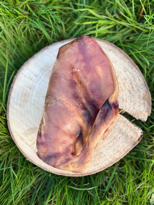 Oreille de Porc Française X2