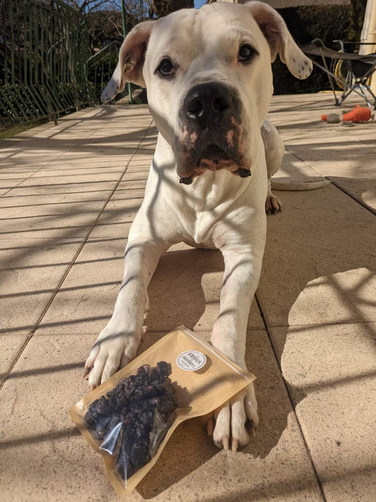 Poumon Boeuf Charbon végétal bio