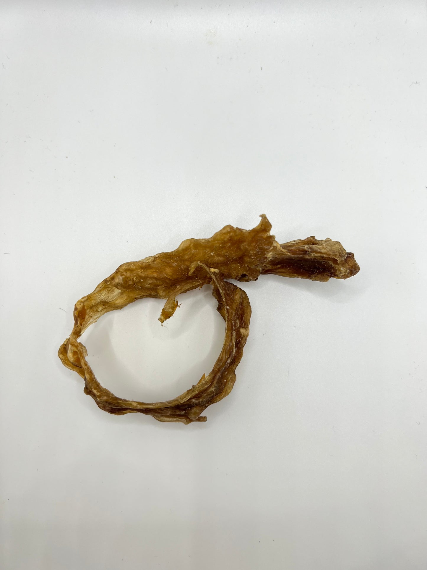 Tendon d'achille de Cerf